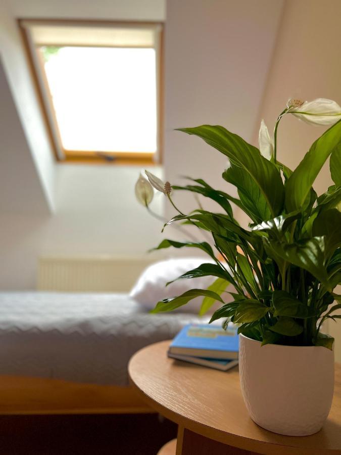 Hotel Marislav Cesnovice Екстериор снимка