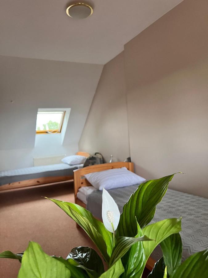 Hotel Marislav Cesnovice Екстериор снимка