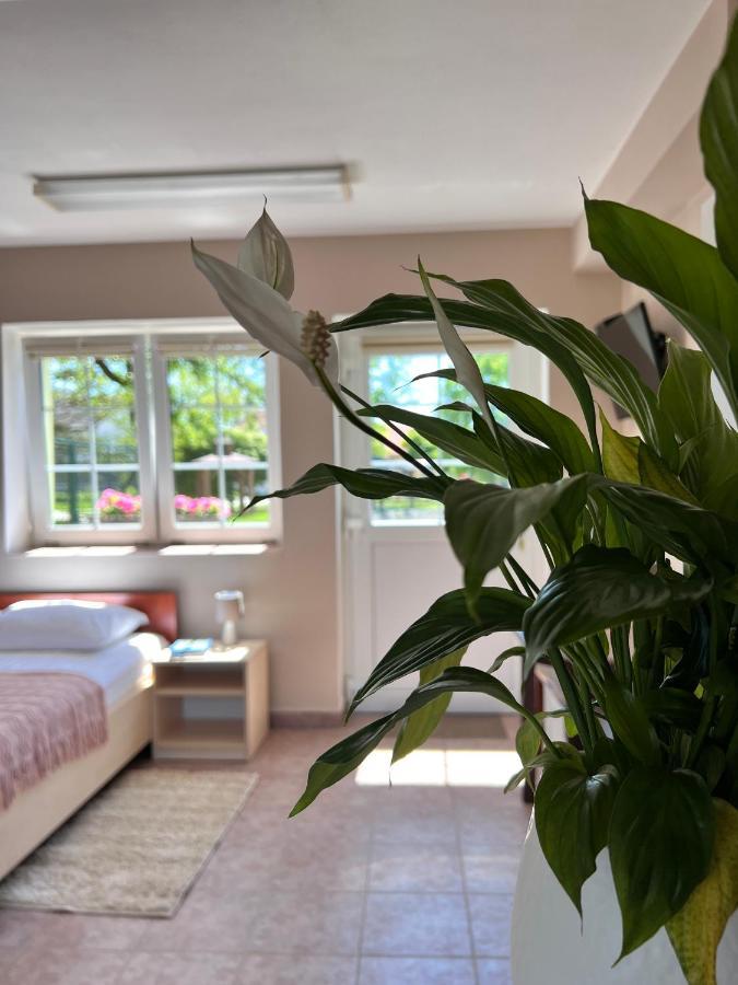 Hotel Marislav Cesnovice Екстериор снимка