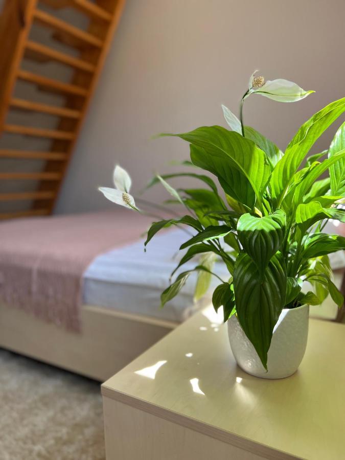 Hotel Marislav Cesnovice Екстериор снимка