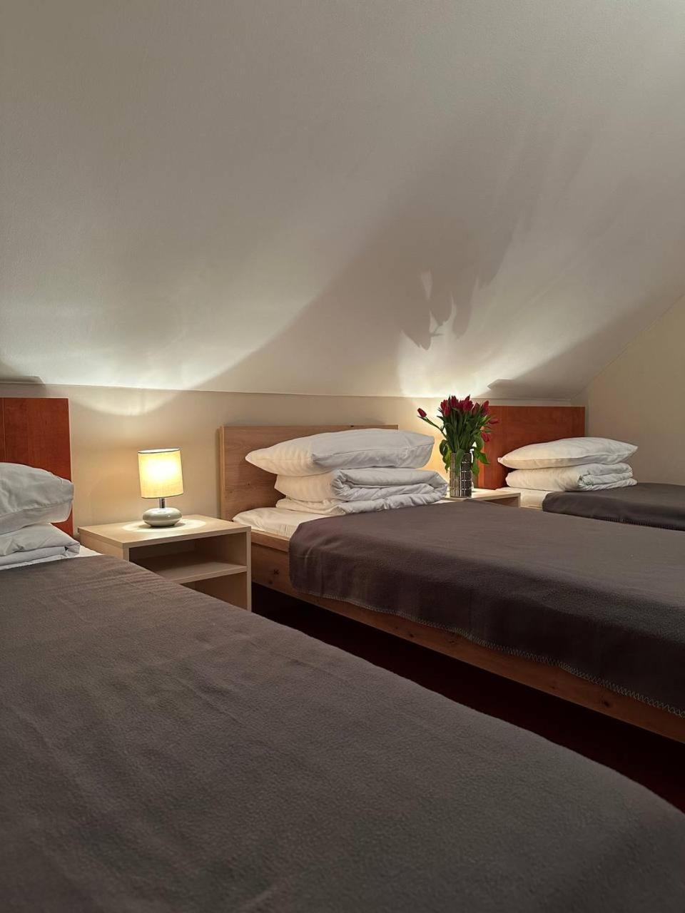 Hotel Marislav Cesnovice Екстериор снимка
