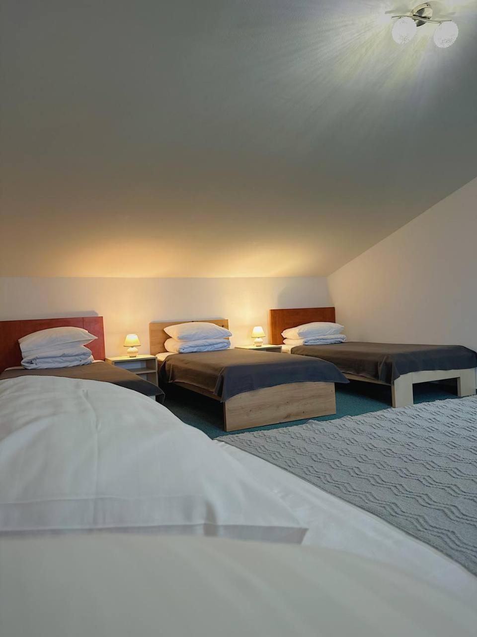 Hotel Marislav Cesnovice Екстериор снимка